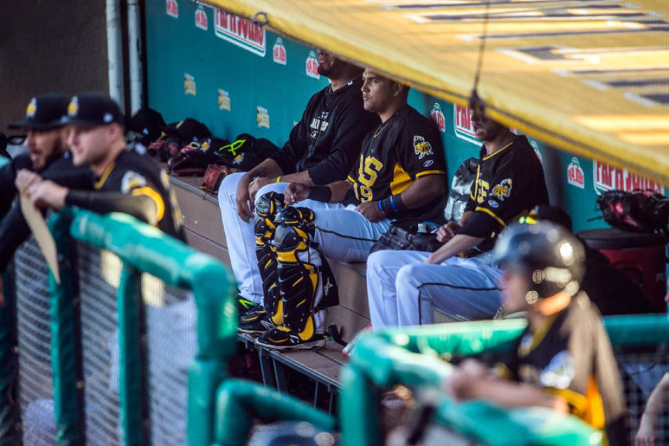 Chris Detrick  |  The Salt Lake Tribune
Salt Lake Bees catcher Carlos Perez (19) watches in the dugout during the game against Tacoma Rainiers at Smith's Ballpark Sunday, May 28, 2017.