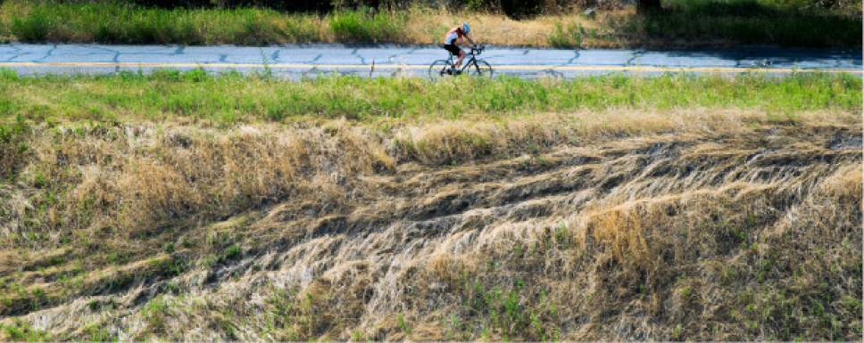 Steve Griffin  |  The Salt Lake Tribune

A cyclist pedals up City Creek Canyon Road in Salt Lake City, Tuesday, July 14, 2015.