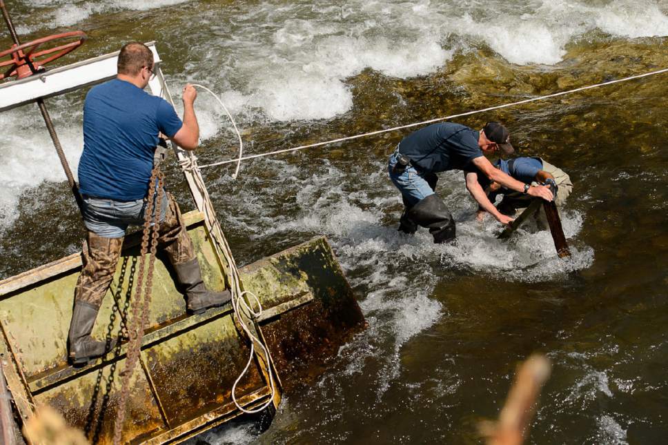 Trent Nelson  |  The Salt Lake Tribune
Workers put in a dam to divert and lower water levels in the Provo River as the search for a missing 4-year-old girl continued, Tuesday May 30, 2017.