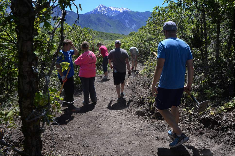 Scott Sommerdorf   |  The Salt Lake Tribune  
On National Trails Day, volunteers worked to finish the new Mercer Hollow Trailhead near Eagle Crest Drive in Draper, Saturday, June 4, 2016.