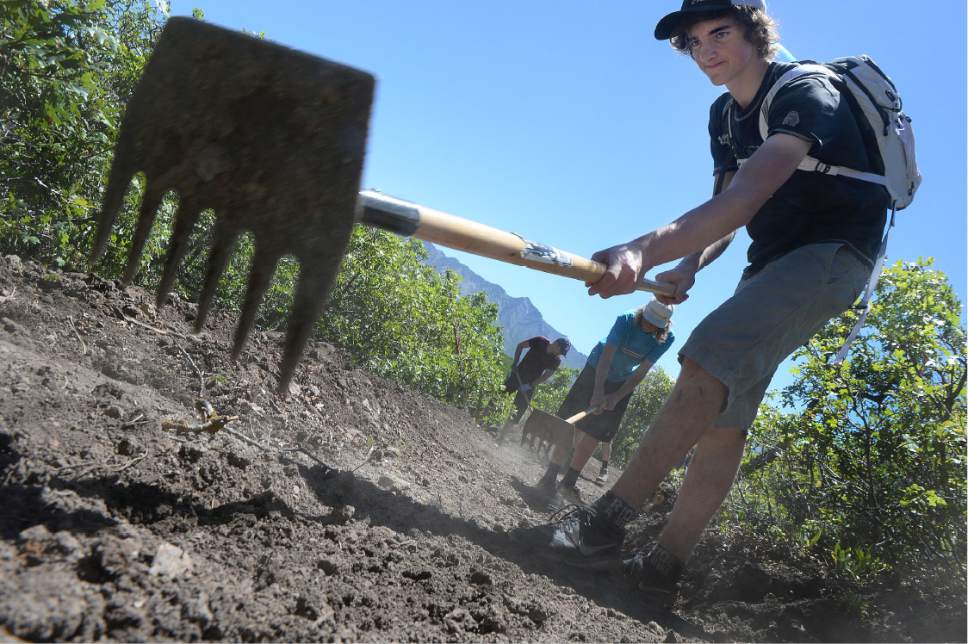 Scott Sommerdorf   |  The Salt Lake Tribune  
On National Trails Day, Hunter Ransom, along with other volunteers worked to finish the new Mercer Hollow Trailhead near Eagle Crest Drive in Draper, Saturday, June 4, 2016.
