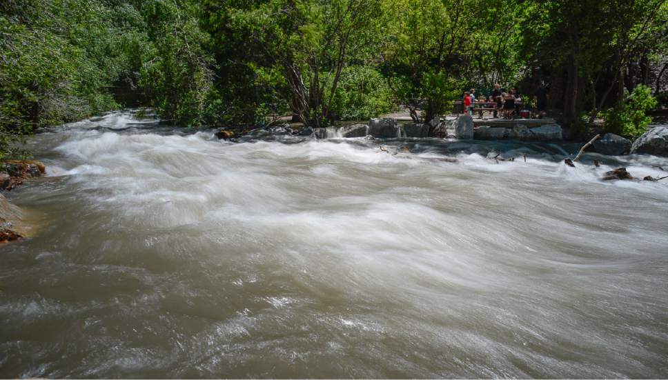 Francisco Kjolseth | The Salt Lake Tribune
People picnic at Ledgemere Park alongside Big Cottonwood Creek, saturated by the spring runoff following a high snow pack winter season on Monday, June 5, 2017.