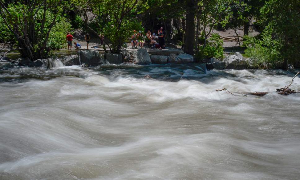 Francisco Kjolseth | The Salt Lake Tribune
People picnic at Ledgemere Park alongside Big Cottonwood Creek, saturated by the spring runoff following a high snow pack winter season on Monday, June 5, 2017.