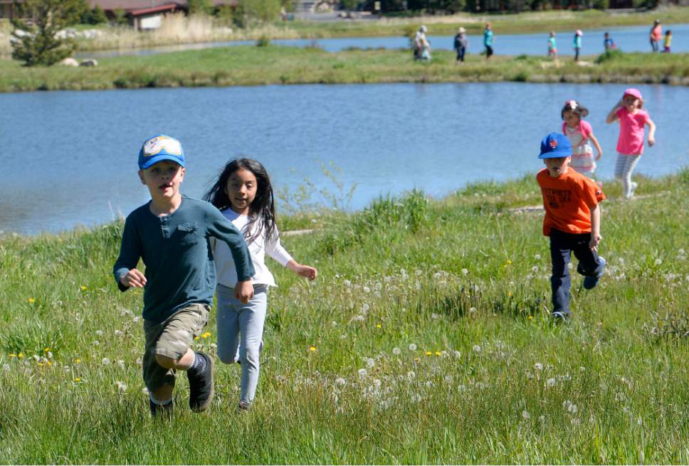 Al Hartmann  |  The Salt Lake Tribune
Kindergartners from Park City's McPolin Elementary School run to ponds near Snow Park Lodge in Deer Valley on filed trip to release 135 fingerling Rainbow Trout Tuesday May 30.
