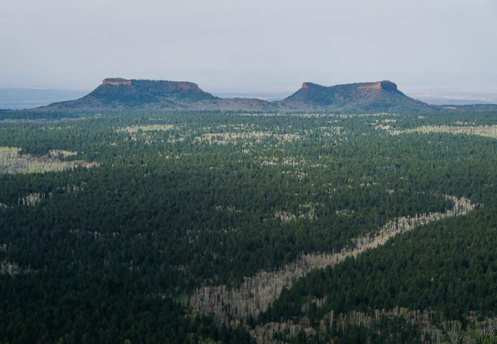 Francisco Kjolseth | The Salt Lake Tribune
The two buttes that make up the namesake for the Bears Ears National Monument reveal the vast landscape surrounding them as part of the 1.35 million acres in southeastern Utah protected by President Barack Obama on Dec. 28, 2016. Utah Republicans in Congress are advocating for Trump to jettison UtahÌs national monument designation.