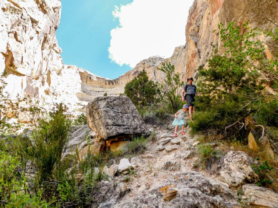 Erin Alberty  |  The Salt Lake Tribune


Hikers descend Box Canyon on May 29, 2017 in Dinosaur National Monument.