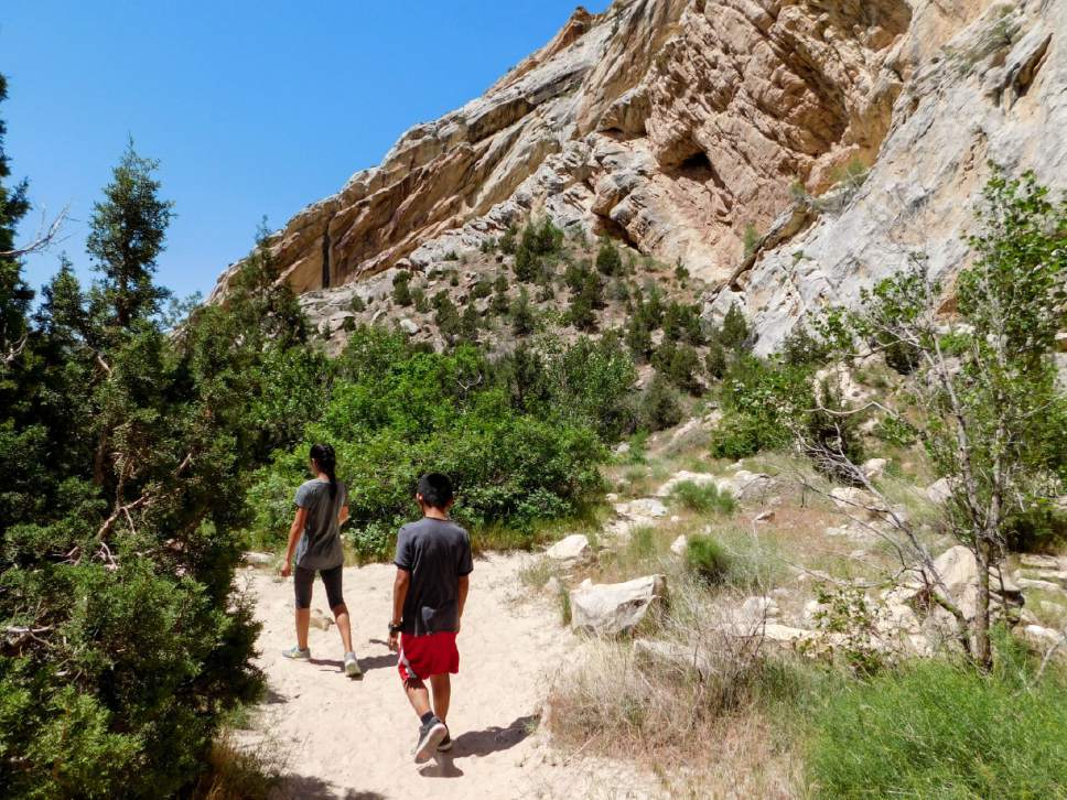 Erin Alberty  |  The Salt Lake Tribune


Children hike out of Box Canyon on May 29, 2017 in Dinosaur National Monument.