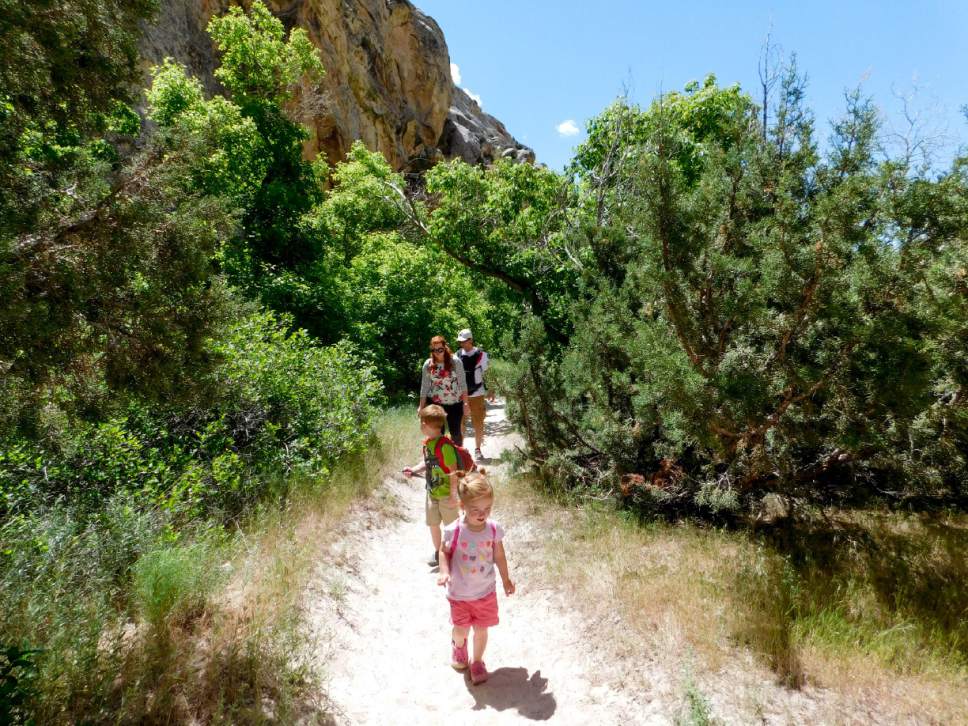 Erin Alberty  |  The Salt Lake Tribune


A family enters Box Canyon on May 29, 2017 in Dinosaur National Monument.