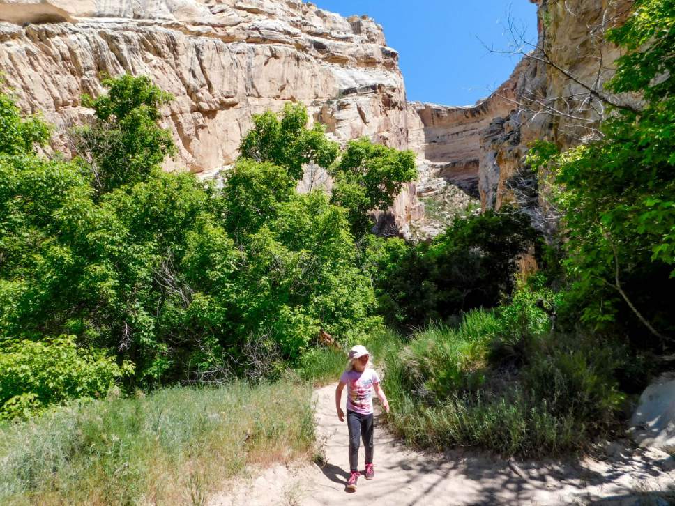 Erin Alberty  |  The Salt Lake Tribune


A young hiker exits Box Canyon on May 29, 2017 in Dinosaur National Monument.