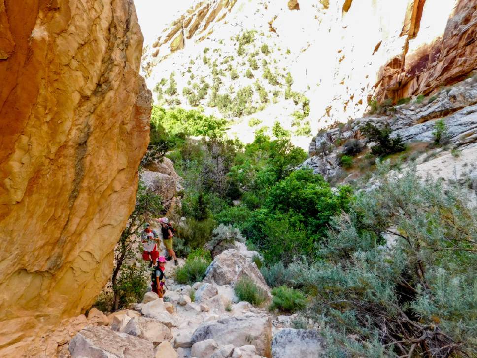 Erin Alberty  |  The Salt Lake Tribune


A family hikes in Box Canyon on May 29, 2017 in Dinosaur National Monument.