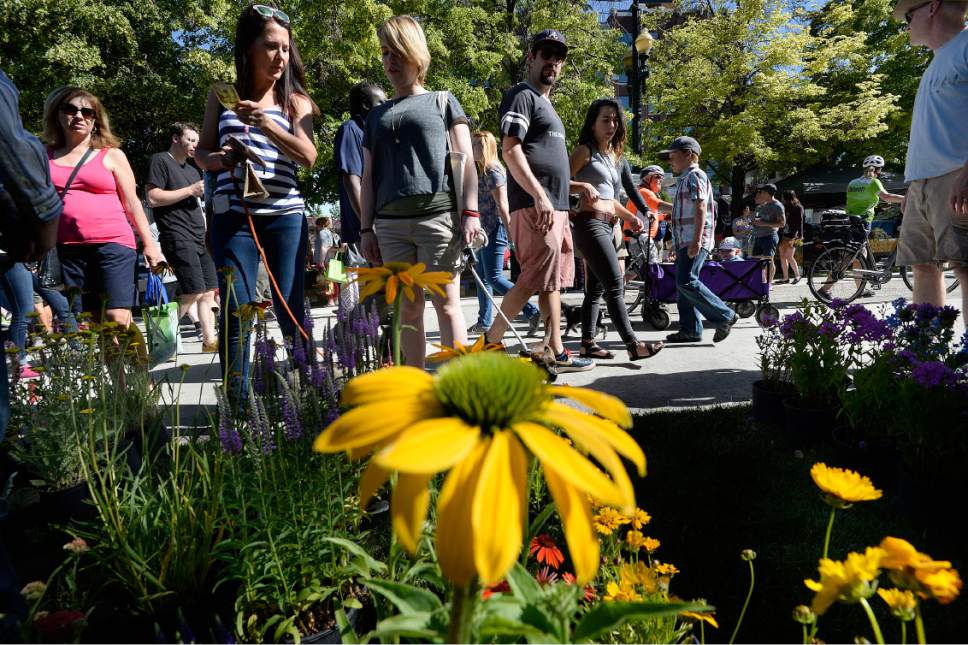Scott Sommerdorf | The Salt Lake Tribune
Shoppers pause to look at flowers for sale at the "Growing Empire" booth at the opening day of the Salt Lake City Farmer's Market, Saturday, June 10, 2017.