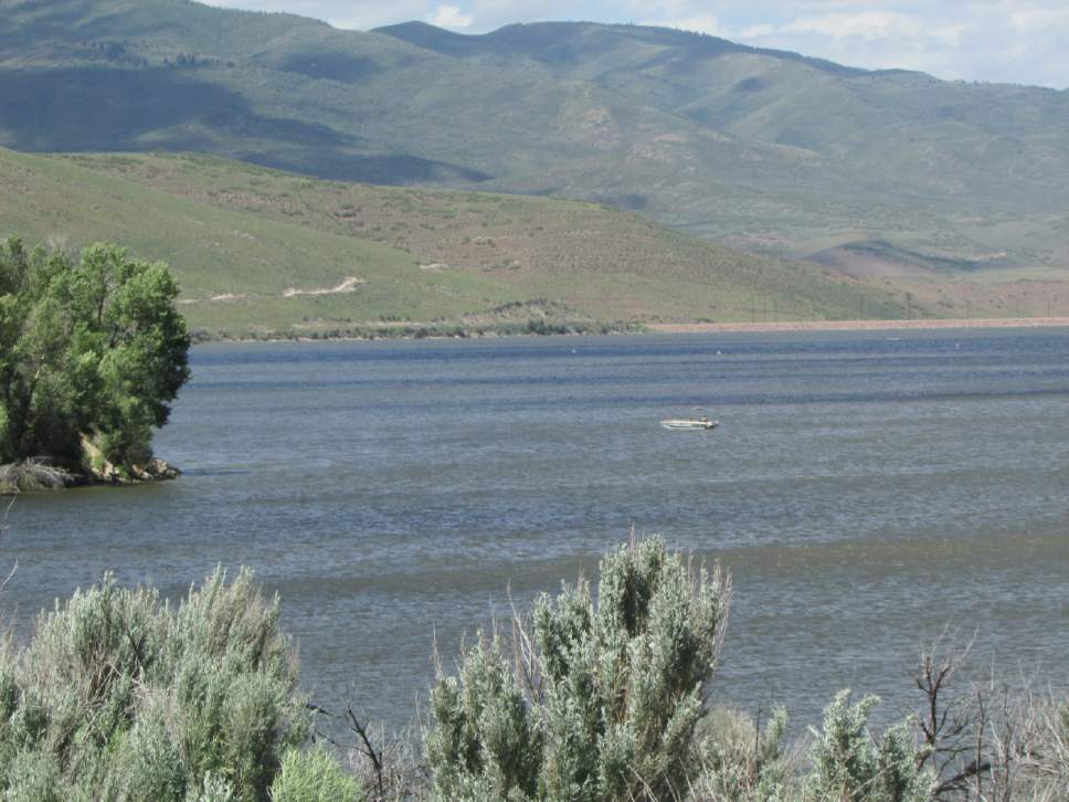 Tom Wharton  |  The Salt Lake Tribune


Rockport Reservoir has been offering good close-to-home fishing recently.