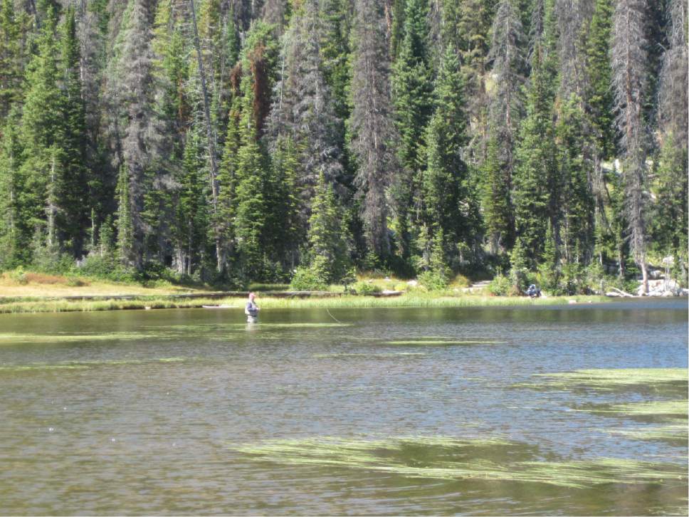 Tom Wharton  |  The Salt Lake Tribune


High Country lakes such as Mirror Lake are just beginning to open up to fishing.