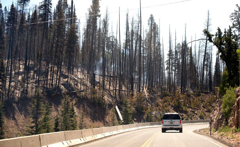 Leah Hogsten  |  The Salt Lake Tribune
A wildfire that forced hundreds to evacuate from the southern Utah ski town of Brian Head burns along State Route 143, the primary road to the town, Sunday, June 18, 2017.  The slope driven fire, which is burning on private land, is zero percent contained and estimated to change Sunday afternoon as conditions grow hotter, drier and winds pick up.