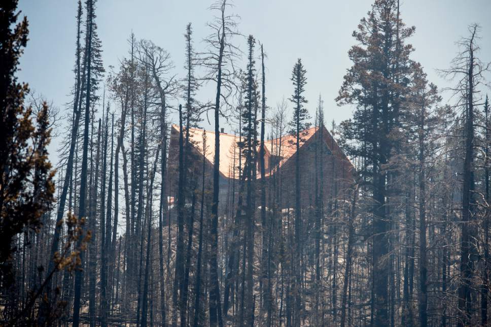 Leah Hogsten  |  The Salt Lake Tribune
This badly scorned home was saved by firefighters north of the town of  Brian Head. A wildfire that forced hundreds to evacuate from the southern Utah ski town of Brian Head burns along State Route 143, the primary road to the town, Sunday, June 18, 2017.  The slope driven fire, which is burning on private land, is zero percent contained and estimated to change Sunday afternoon as conditions grow hotter, drier and winds pick up.