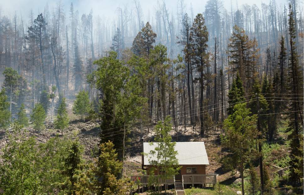 Leah Hogsten  |  The Salt Lake Tribune
A cabin located along State Route 143 that was saved. A wildfire that forced hundreds to evacuate from the southern Utah ski town of Brian Head burns along State Route 143, the primary road to the town, Sunday, June 18, 2017.  The slope driven fire, which is burning on private land, is zero percent contained and estimated to change Sunday afternoon as conditions grow hotter, drier and winds pick up.