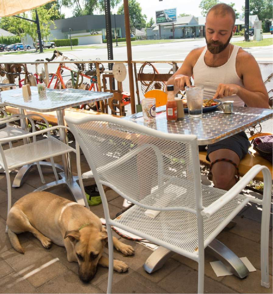 Rick Egan  |  The Salt Lake Tribune
Nate Zubal eats on the patio at the Pig and Jelly Jar with his dog, Carmel, on Friday, June 12, 2015.