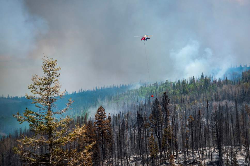 Chris Detrick  |  The Salt Lake Tribune
Helicopter crews work to put out the wildfire burning north of the southern Utah ski town of Brian Head Tuesday, June 20, 2017. The Brian Head Fire ó which forced the evacuation of about 750 residents and visitors on Saturday ó was started by someone using a weed torch in dry conditions, Gov. Gary Herbert tweeted Tuesday, ahead of a 1 p.m. news conference.