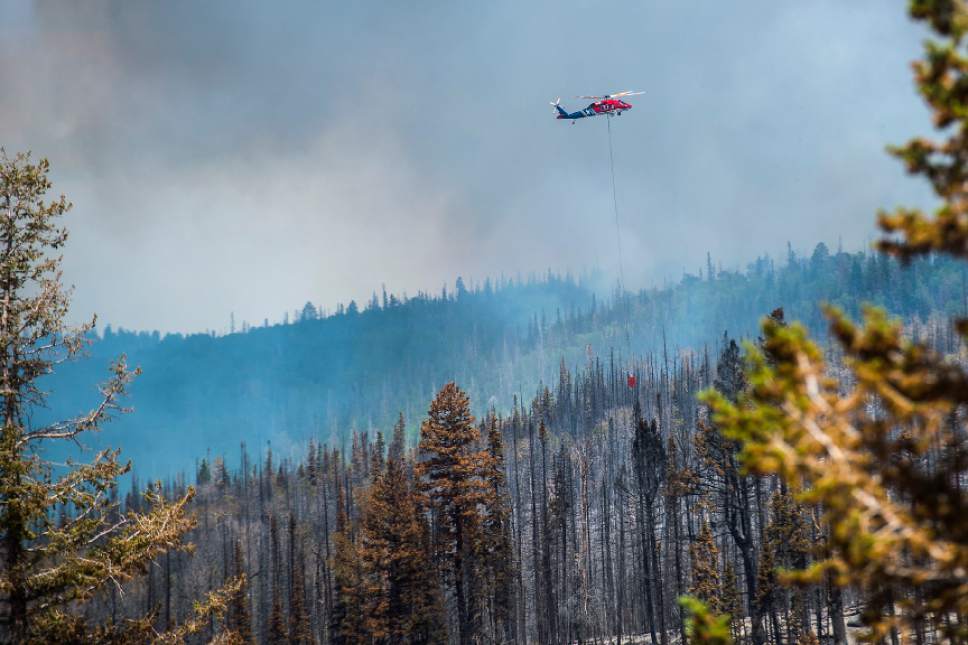 Chris Detrick  |  The Salt Lake Tribune
Helicopter crews work to put out the wildfire burning north of the southern Utah ski town of Brian Head Tuesday, June 20, 2017. The Brian Head Fire -- which forced the evacuation of about 750 residents and visitors on Saturday -- was started by someone using a weed torch in dry conditions, Gov. Gary Herbert tweeted Tuesday, ahead of a 1 p.m. news conference.
