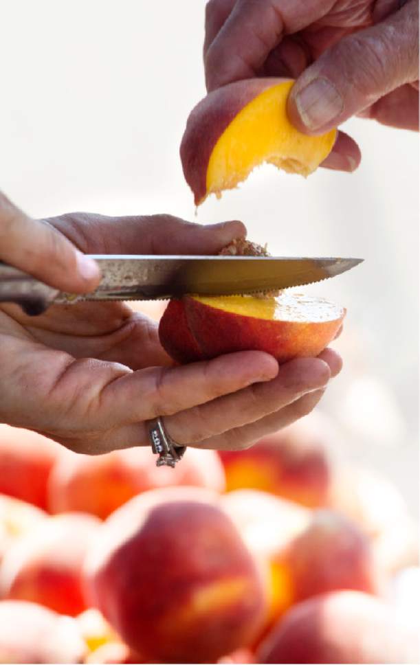 Steve Griffin | The Salt Lake Tribune

Stephanie Oldroyd of CK Farms cuts her peaches for sampling as the Farmers Market in Murray Park last summer.