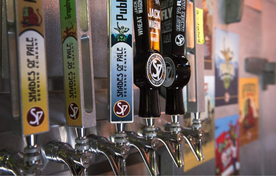 Leah Hogsten  |  The Salt Lake Tribune 
Beer on tap at Shades of Pale Brewing Co. The South Salt Lake brewery brought hom a bronze medal from the North American Brewers Awards competition.