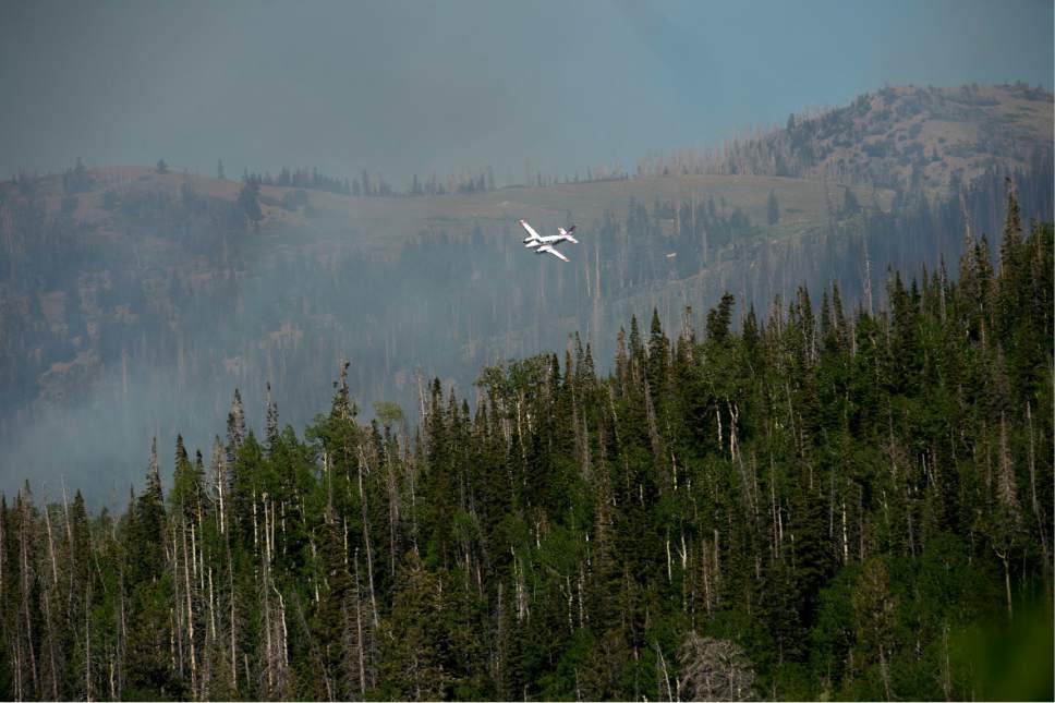 Leah Hogsten  |  The Salt Lake Tribune
Firefighting crews and air tankers work to put out a wildfire that forced hundreds to evacuate from the southern Utah ski town of Brian Head on Sunday, June 18, 2017. Some of the graying spruce trees, killed by bark beetles, can be seen.
