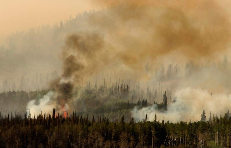 Brian Head Fire has now burned 13 residences and 37,500 acres - The ...