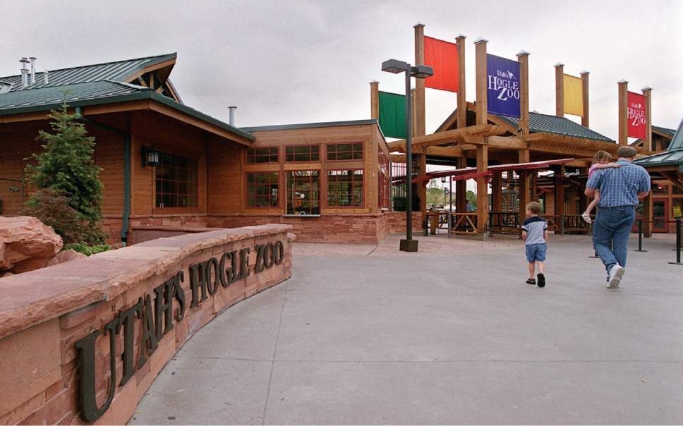 File  |  The Salt Lake Tribune
Hogle Zoo, a popular destination for kids, is quieter and has a different look in winter months.