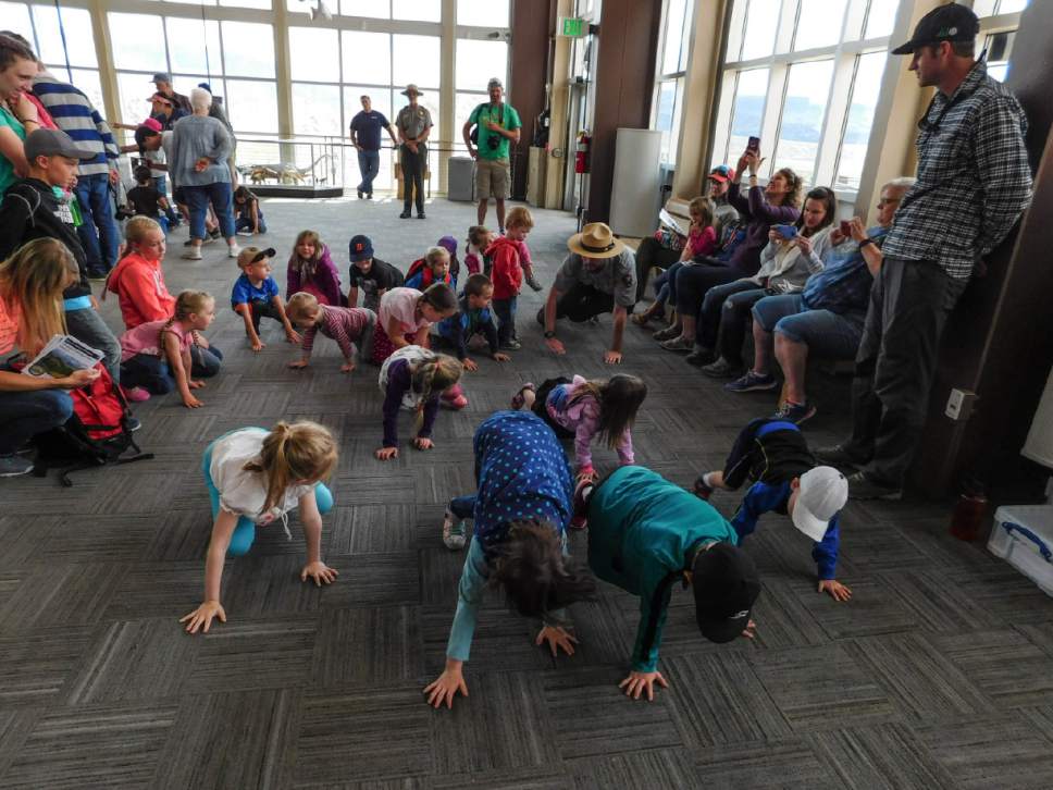 Erin Alberty  |  The Salt Lake Tribune


Ranger John Isom leads kids in a dinosaur walking game to explain the difference between bird-hipped and lizard-hipped dinosaurs Saturday, May 27, 2017, at Dinosaur National Monument's Quarry Exhibit Hall.