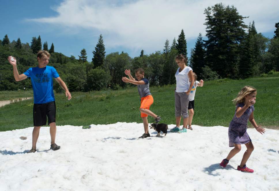 Rick Egan  |  The Salt Lake Tribune

Kids toss snowballs at each other, to cool off, as the play in a snow bank at Snowbasin Ski resort, Sunday, July 2, 2017.