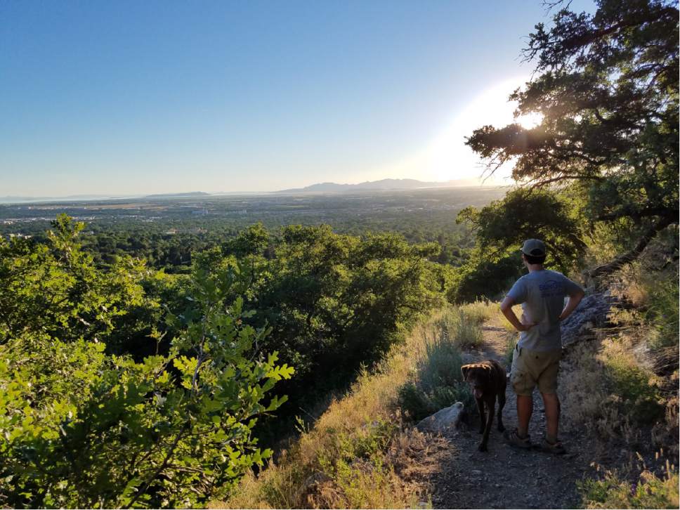 Jessica Miller  |  The Salt Lake Tribune


Kelly Miller and Luigi the dog hike North Taylor Canyon trail in Ogden.