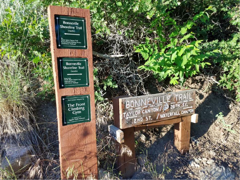 Jessica Miller  |  The Salt Lake Tribune


Posted signs guide hikers along the North Taylor Canyon trail in Ogden.