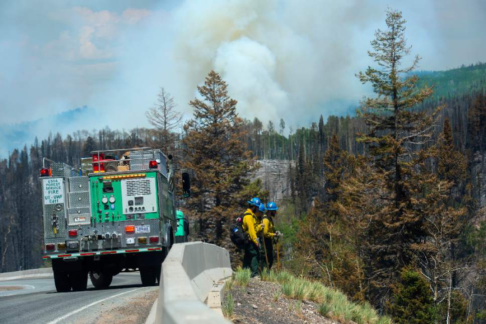 Chris Detrick  |  The Salt Lake Tribune
A USDA Forest Service fire crew work to put out the wildfire burning north of the southern Utah ski town of Brian Head Tuesday, June 20, 2017. The Brian Head Fire -- which forced the evacuation of about 750 residents and visitors on Saturday -- was started by someone using a weed torch in dry conditions, Gov. Gary Herbert tweeted Tuesday, ahead of a 1 p.m. news conference.