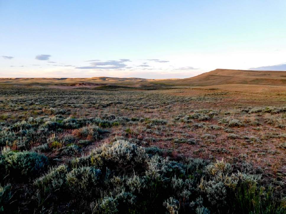 Erin Alberty  |  The Salt Lake Tribune

Scenes from the Oregon Trail: South Pass, Fremont County, Wyo.