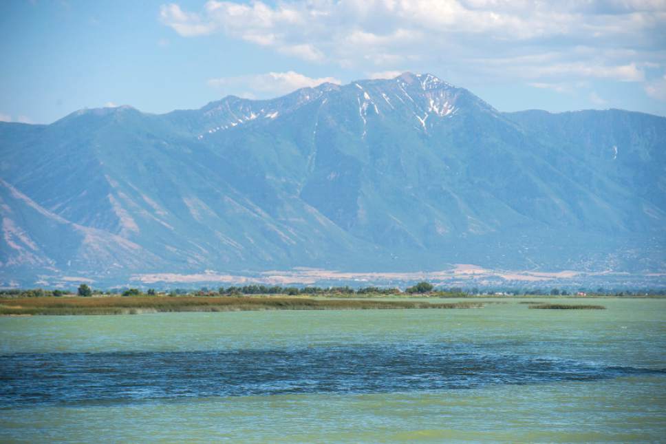 Chris Detrick  | Tribune file photo
A toxic algal bloom in Utah Lake in June. Officials confirmed Wednesday that the algal bloom on Utah Lake is growing and has turned toxic.
