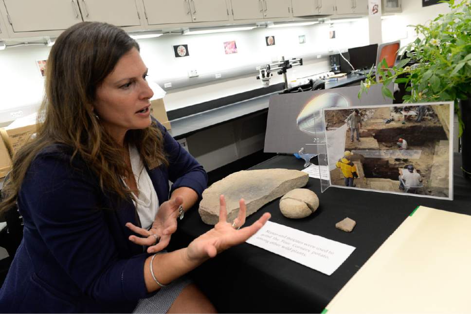 Francisco Kjolseth | The Salt Lake Tribune


Lisbeth Louderback, curator of archaeology at the Natural History Museum of Utah, talks about the recent discovery that ancient peoples may have cultivated potatoes 11,000 years ago during a presentation on Friday, June 30, 2017. It could be an example of the first plant ever domesticated in what is now the western United States.