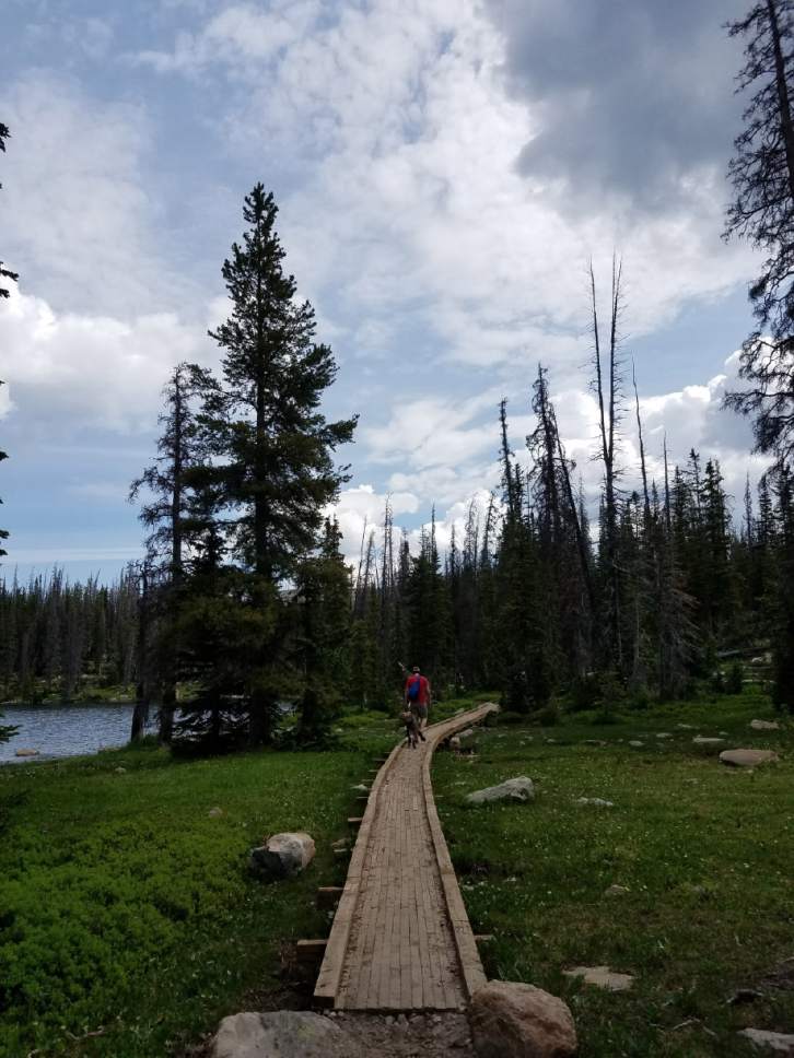 Jessica Miller  |  The Salt Lake Tribune

Kelly Miller walks along a boardwalk near one of the many lakes hikers pass on the way to Clyde Lake.