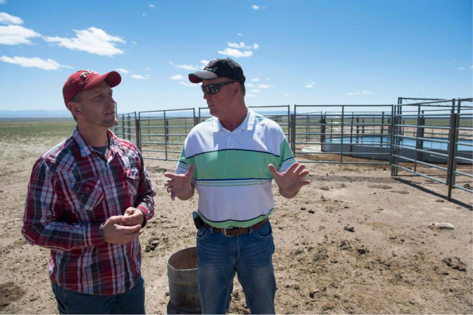 Rick Egan  | Tribune file photo
Iron County Commissioner, David Miller, left, and Beaver County Commissioner Mark Whitney discuss the wild hourse problem and the water coral intended for the wild horses, on private land northwest of Cedar City, Wednesday, April 23, 2014.