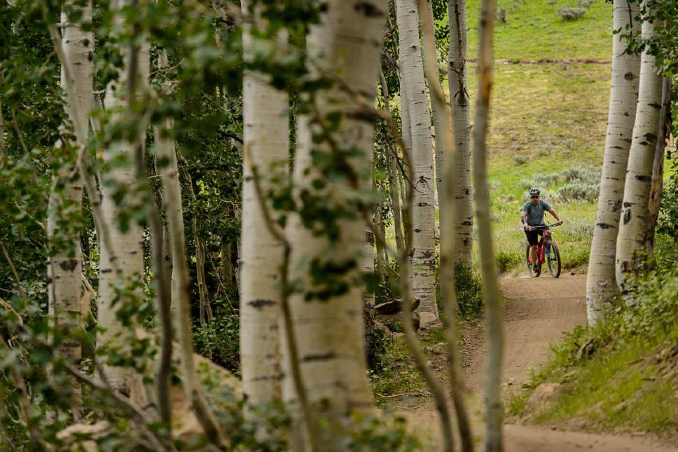 Trent Nelson  |  The Salt Lake Tribune
Mountain bikers on Deer Valleyís Holy Roller trail, Saturday July 8, 2017.