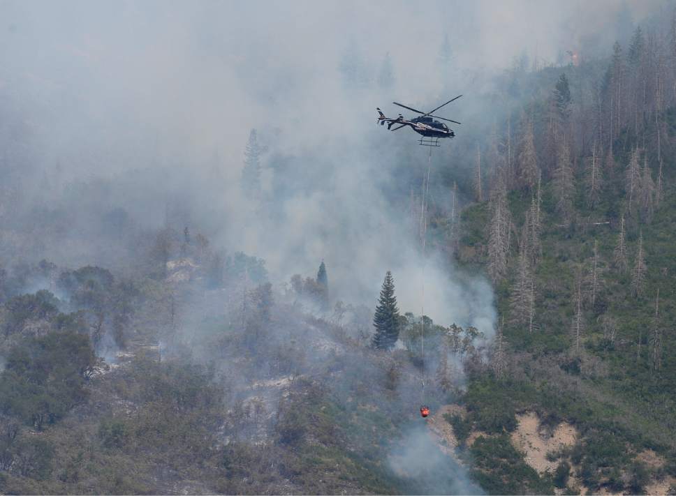 Scott Sommerdorf   |  The Salt Lake Tribune  
A fire fighting helicopter works to put out hot spots in the hills above Alpine, Sunday, July 16, 2017.