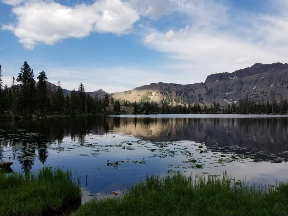 Jessica Miller  |  The Salt Lake Tribune


A view of Ruth Lake.