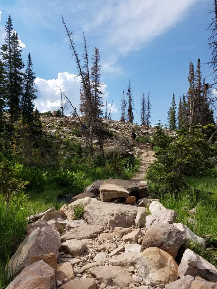 Jessica Miller  |  The Salt Lake Tribune


The trail to Ruth Lake is rocky, but hikers can get to the lake in under a mile.