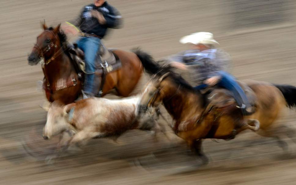 Steve Griffin  |  The Salt Lake Tribune


Cowboys compete in the steer wrestling event during opening night of the Days of  '47 Rodeo in its new digs at the Days of 47 Arena at the Utah State Fairpark in Salt Lake City Wednesday July 19, 2017.