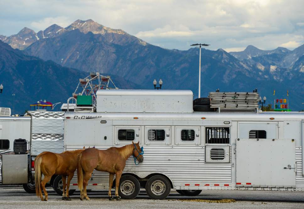 Francisco Kjolseth | The Salt Lake Tribune
The rodeo comes to town as horses and their competitors crowd Fairpark Arena on day two of the Days of '47 Rodeo in its new home in Salt Lake City on Thursday, July 20, 2017.