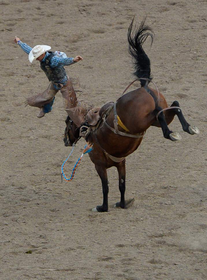 Francisco Kjolseth | The Salt Lake Tribune
JJ Elshere of Hereford, SD, goes for a ride as he competes in the championship saddle bronc riding competition at the new 10,000-seat Fairpark Arena on day two of the Days of '47 Rodeo in its new home in Salt Lake City on Thursday, July 20, 2017.