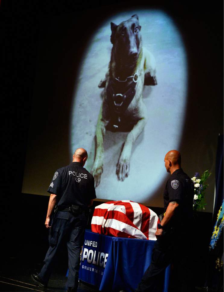 Scott Sommerdorf   |  The Salt Lake Tribune  
Sgt. Chad Reyes, left, looks over at his partner's casket as he takes the stage at the memorial service for "Dingo," a Unified Police Department dog shot and killed in the line of duty July 6 while working with his K-9 handler Sgt. Chad Reyes, Saturday, July 15, 2017.