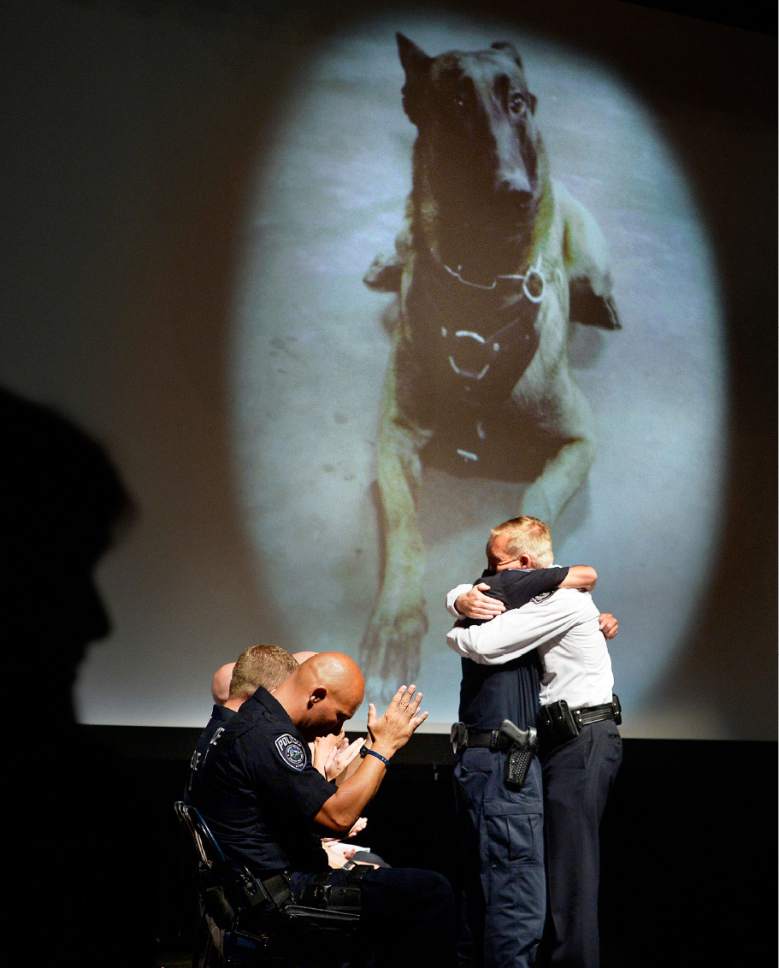 Scott Sommerdorf   |  The Salt Lake Tribune  
Sgt. Chad Reyes, left, hugs Sheriff Jim Winder after Winder promoted him to Lieutenant at the memorial service for "Dingo," a Unified Police Department dog shot and killed in the line of duty July 6 while working with his K-9 handler Reyes.