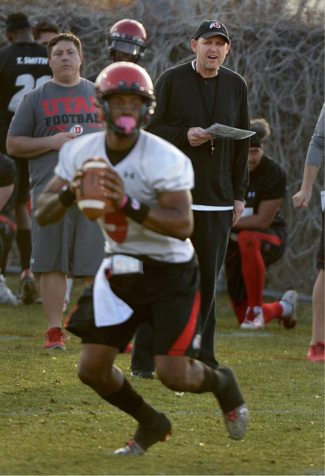 Scott Sommerdorf | The Salt Lake Tribune
New offensive coordinator Troy Taylor watches QB Troy Williams drop back during Utah football practice, Thursday, March 9, 2017.