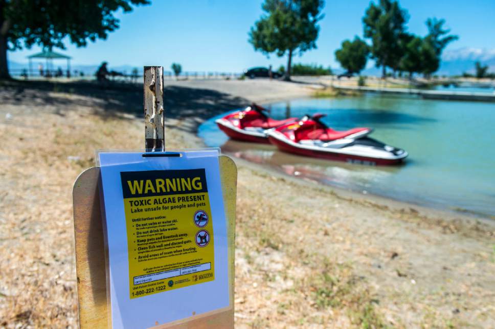 Chris Detrick  | Tribune file photo
A posted sign warning about a toxic algal bloom in Utah Lake June 29. State and health officials confirmed Wednesday that the algal bloom on Utah Lake is growing and has turned toxic.