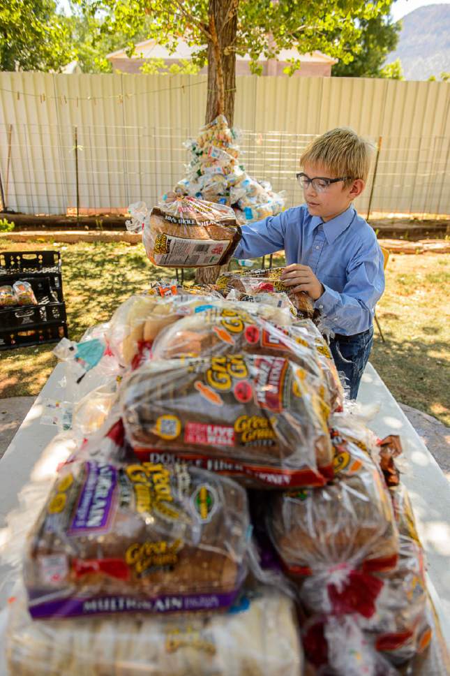 Trent Nelson  |  The Salt Lake Tribune
Ammon Owen stacks bread donated for needy members of the FLDS polygamous sect in Colorado City, Ariz., Saturday July 15, 2017. The Davis County Cooperative Society has been offering service and donations to needy FLDS members who were evicted from UEP homes in Hildale and Colorado City, Ariz.